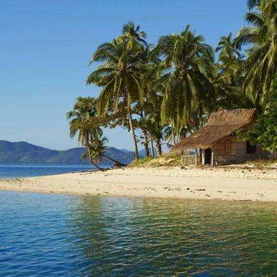 365体育官方唯一入口app下载